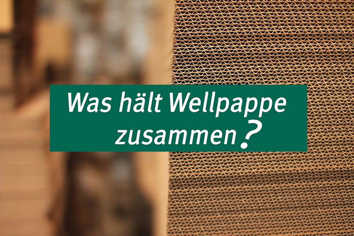 Wellbag Was hält Wellpappe zusammen? | Alle Infos zu Leim