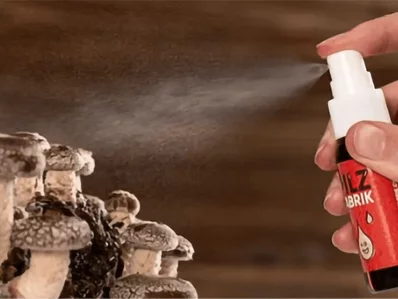 Pilzspray besprüht Pilze Pilzspray besprüht Pilze