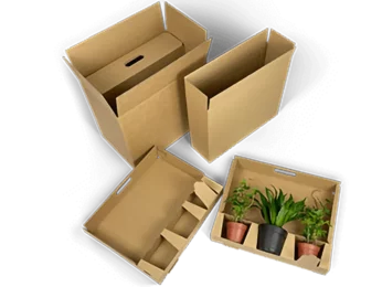 Inserción para hasta tres plantas jóvenes - más 3s, 6s, 9s etc. Cajas de sobres Inserción para hasta tres plantas jóvenes - más 3s, 6s, 9s etc. Cajas de sobres
