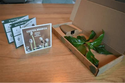 Pflanze in Pflanzenversandverpackung Pflanze in Pflanzenversandverpackung