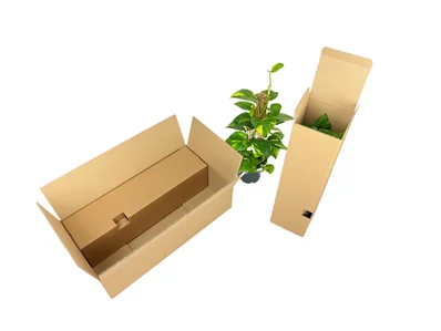 Plant Circle Verpackung