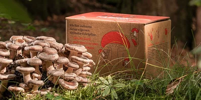 Pilzspray vor einem Pilz Pilzspray vor einem Pilz