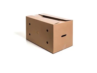 Open salad box