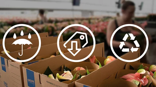 Verpackungen befüllt mit Blumen