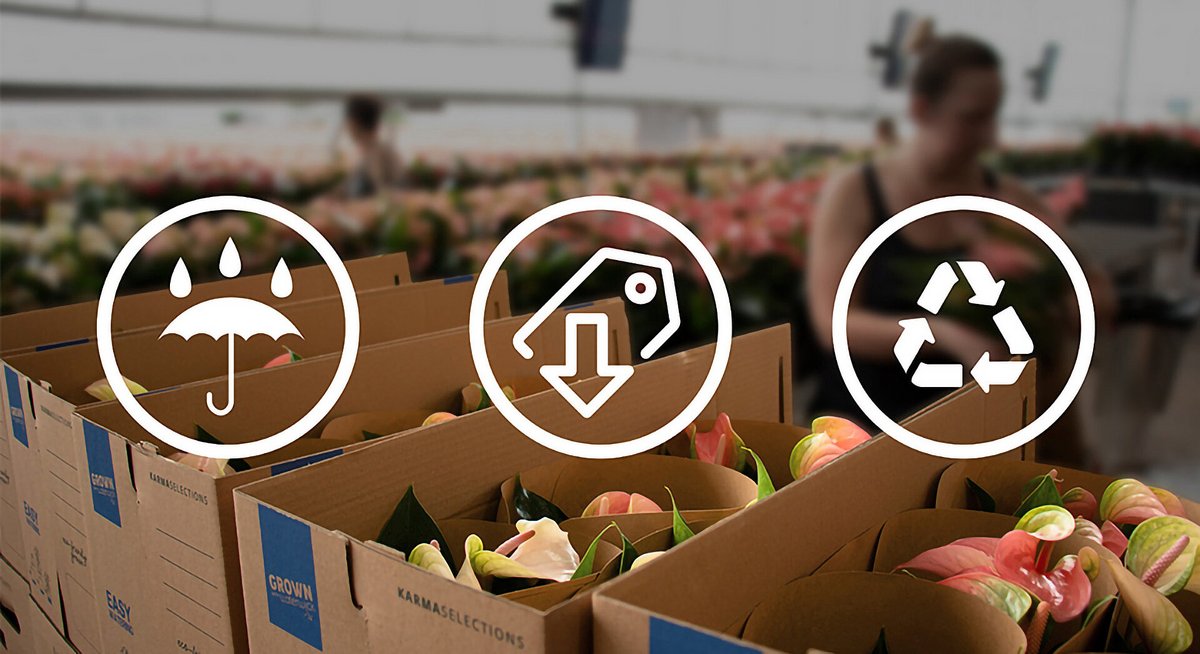 Wellbag Super Cobb: our all-rounder for plant packaging