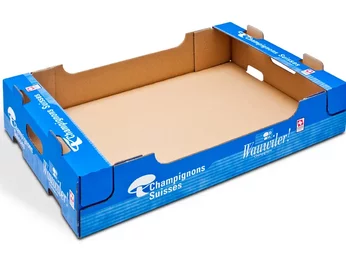 Die-cut packaging for mushrooms - Wauweiler Die-cut packaging for mushrooms - Wauweiler