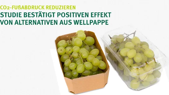 Weintrauben in einer Schale aus Wellpappe