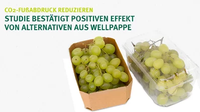 Weintrauben in einer Schale aus Wellpappe Weintrauben in einer Schale aus Wellpappe