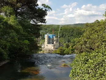 Nova Campina in der Natur