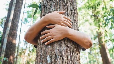 Arms embracing a tree Arms embracing a tree