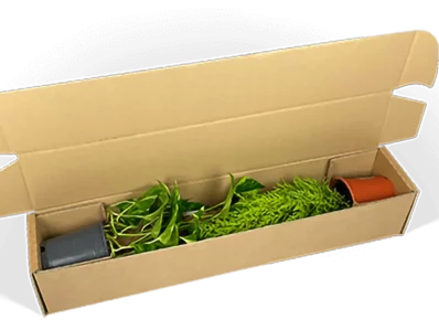 Materialsparende Versandverpackung für Topfpflanzen Materialsparende Versandverpackung für Topfpflanzen