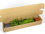 Materialsparende Versandverpackung für Topfpflanzen