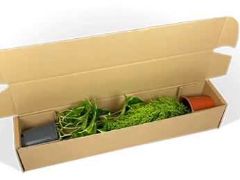 Embalaje para plantas en maceta que ahorra material Embalaje para plantas en maceta que ahorra material