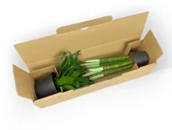 Einteilige Versandverpackung für Topfpflanzen