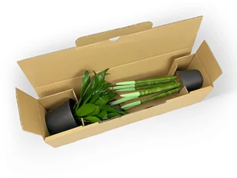 Embalaje de envío de una sola pieza para plantas en maceta Embalaje de envío de una sola pieza para plantas en maceta