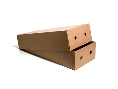 Transportbox für Blumen Transportbox für Blumen