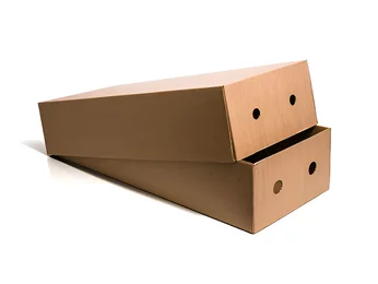 Caja de transporte para flores Caja de transporte para flores