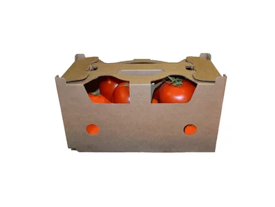 Obst- und Gemüsetragerl mit Tomaten gefüllt aus Wellpappe