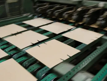 Squares of corrugated board on a machine Squares of corrugated board on a machine