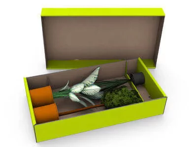 Pflanzenversandverpackung - sicherer Versand von Pflanzen und Blumen Pflanzenversandverpackung - sicherer Versand von Pflanzen und Blumen