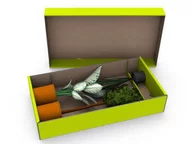 Pflanzenversandverpackung - sicherer Versand von Pflanzen und Blumen
