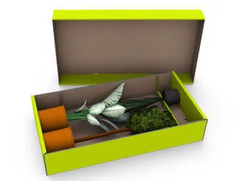 Embalaje para el envío de plantas - envío seguro de plantas y flores Embalaje para el envío de plantas - envío seguro de plantas y flores