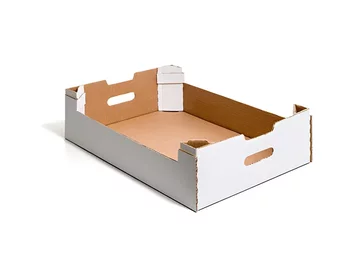 Caja para fruta (caja de fruta de 9 kg)