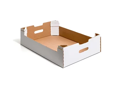 Caja para fruta (caja de fruta de 9 kg)