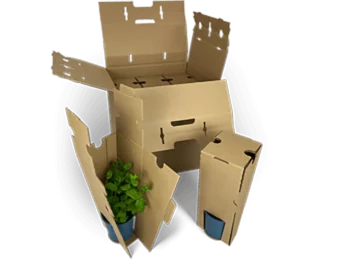 Inserción para hasta tres plantas jóvenes - más 3s, 6s, 9s etc. Cajas de sobres Inserción para hasta tres plantas jóvenes - más 3s, 6s, 9s etc. Cajas de sobres