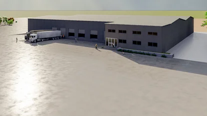 West Africa plant West Africa plant