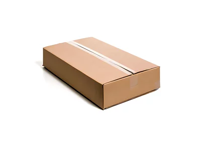 Fischverpackung (20 kg)