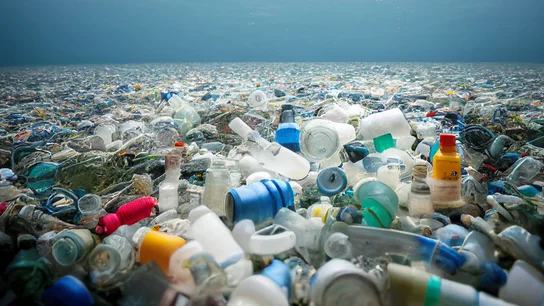 Plastik Müll auf Meeresboden Plastik Müll auf Meeresboden