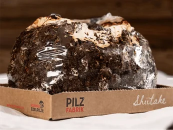 Packed mushroom substrate block on a corrugated cardboard base Packed mushroom substrate block on a corrugated cardboard base