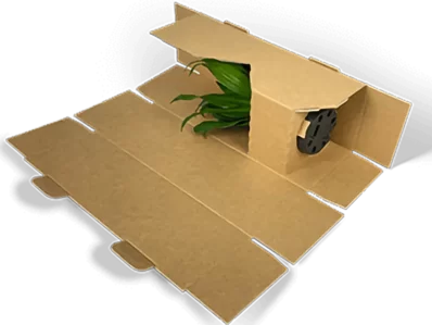 Gewickelte Pflanzenversandverpackung