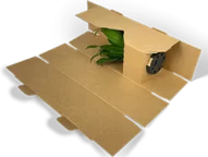 Gewickelte Pflanzenversandverpackung