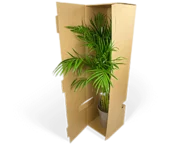 Versandverpackung für hohe Topfpflanzen