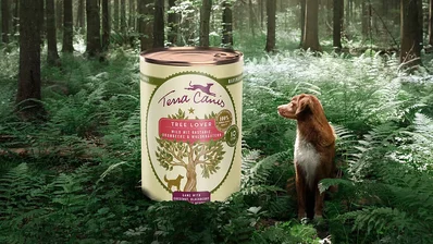 Terra Canis Dog Food Can in the Forest Terra Canis Dog Food Can in the Forest