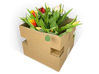 Embalaje de dos piezas para ramos de flores Embalaje de dos piezas para ramos de flores