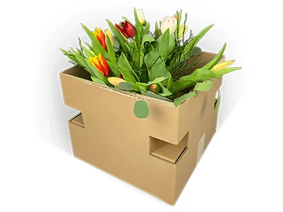 Zweiteilige Blumenstraußverpackung