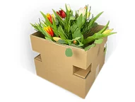 Zweiteilige Blumenstraußverpackung