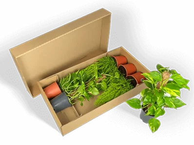 Pflanzenversandverpackung für unterschiedlich hohe Pflanzen Pflanzenversandverpackung für unterschiedlich hohe Pflanzen