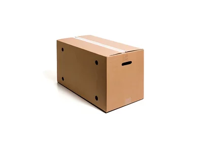 Faltkarton für Eier
