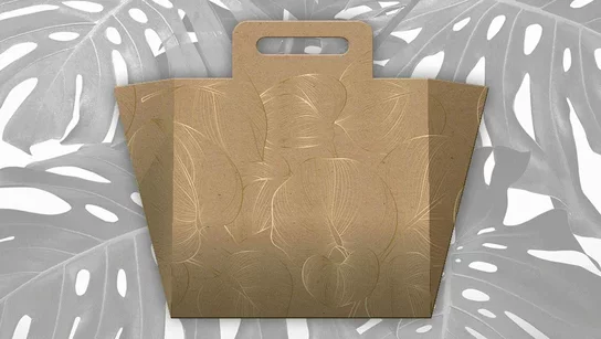 Tragetasche aus Wellpappe