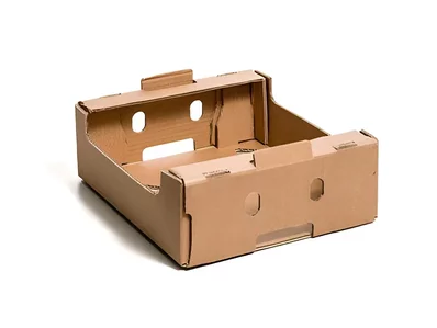 Corrugated cardboard box for mangoes Corrugated cardboard box for mangoes