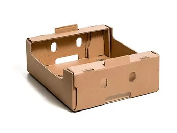 Caja de cartón ondulado para mangos