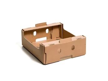 Corrugated cardboard box for mangoes Corrugated cardboard box for mangoes